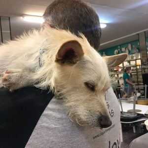 Meet your Posher, Thomas